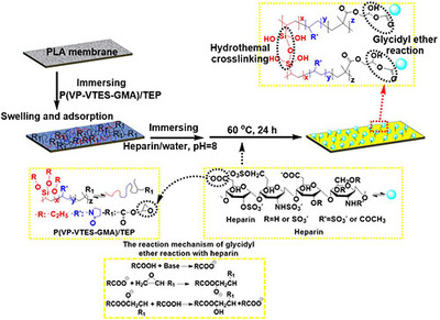 寧波材料所生物基聚合物微孔膜制備及改性研究獲進(jìn)展_中國(guó)膜工業(yè)協(xié)會(huì)