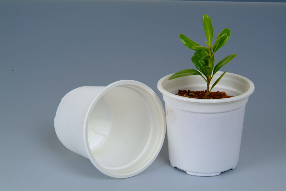 【綠色環(huán)保 生物降解 淀粉基塑料 可制作紙巾盒】價(jià)格,廠家,圖片,其他通用/工程塑料,江蘇錦禾高新科技股份有限公司銷售部