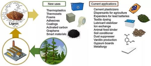 prog. poly. sci.綜述 生物基高分子材料 結合化學合成與材料加工