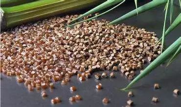 全面解讀2018年全球生物塑料市場情況