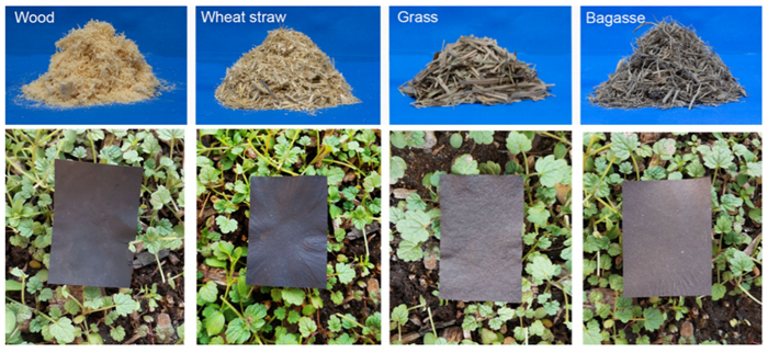 繼"木頭玻璃"之后再創(chuàng)突破!胡良兵創(chuàng)新性合成"木頭塑料",三個月即可完