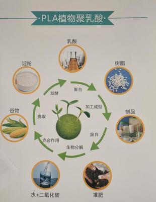 PP+小麥秸稈料 餐具專用料 食品級生物基復合材料