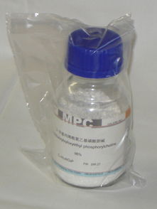 供應2 甲基丙烯酰氧乙基磷酸膽堿cas